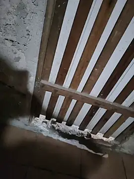 011Nort online show from November 11, 2025, 4:46 pm