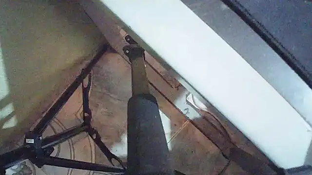 Snapshot of Terraelowen chatting on March 24, 2026, 1:11 pm Terraelowen online show from March 24, 2026, 1:11 pm