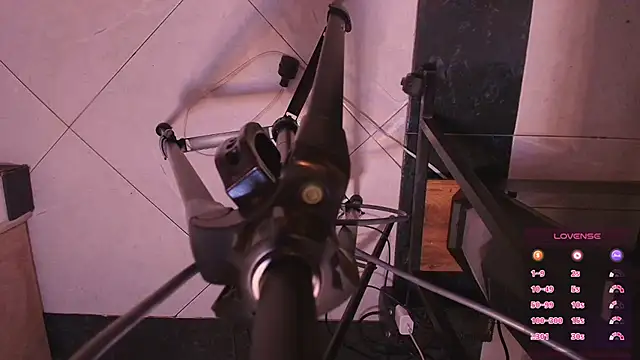 Terraelowen online show from November 4, 2025, 11:25 am