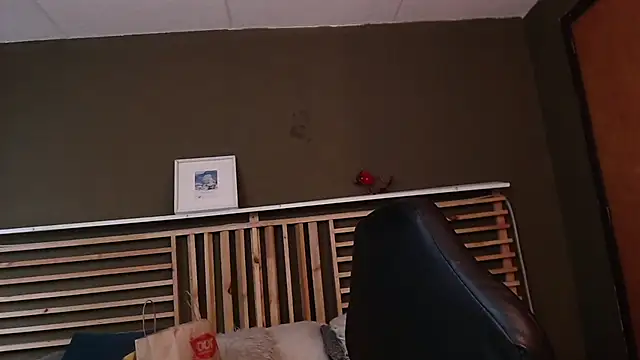 Snapshot of PaulEvens chatting on November 15, 2025, 1:15 pm PaulEvens online show from November 15, 2025, 1:15 pm