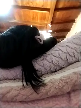 solpeich online show from October 15, 2025, 3:05 am