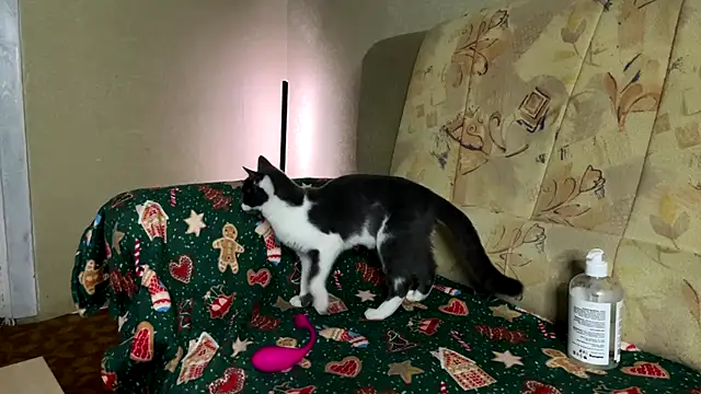 Marinpeach online show from February 23, 2026, 3:12 pm