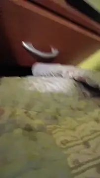 juanfritaa21 online show from March 8, 2026, 1:33 am