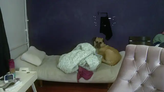 Snapshot of turkishTransEfsun chatting on November 3, 2025, 10:08 am turkishTransEfsun online show from November 3, 2025, 10:08 am