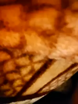 Snapshot of monty935 chatting on December 22, 2025, 6:19 pm monty935 online show from December 22, 2025, 6:19 pm