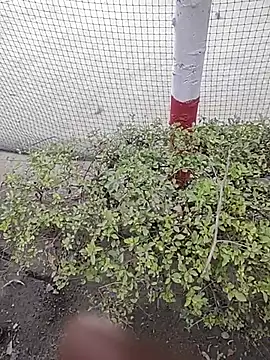 Snapshot of monty935 chatting on December 4, 2025, 11:42 am monty935 online show from December 4, 2025, 11:42 am