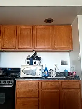 Snapshot of Longthickdick33 chatting on April 8, 2026, 1:23 pm Longthickdick33 online show from April 8, 2026, 1:23 pm