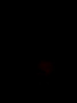Fran-solo online show from May 17, 2026, 2:17 pm