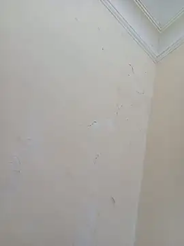 Sondosa3 online show from October 5, 2025, 8:43 pm