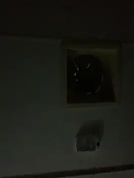 Snapshot of shakeweight chatting on October 3, 2025, 11:01 am shakeweight online show from October 3, 2025, 11:01 am