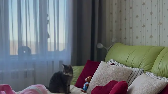 Estella Elwood online show from February 3, 2026, 6:22 am