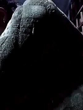 PhamPm70 online show from November 17, 2025, 11:58 am