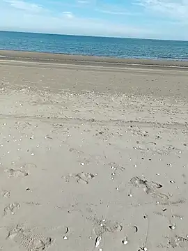 pegaso369 online show from October 9, 2025, 11:22 am