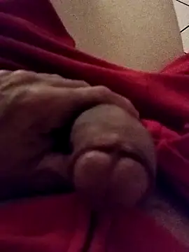 Snapshot of pegaso369 chatting on April 28, 2026, 8:46 pm pegaso369 online show from April 28, 2026, 8:46 pm