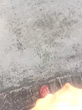 Anamika-singhania online show from January 13, 2026, 11:03 am