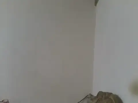 elpoop7305 online show from April 23, 2026, 7:48 pm