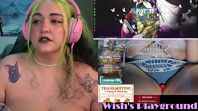 Snapshot of nevermakeawish chatting on November 27, 2025, 2:17 pm nevermakeawish online show from November 27, 2025, 2:17 pm