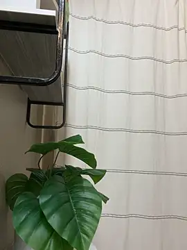 xHelloKitty online show from February 14, 2026, 11:38 pm