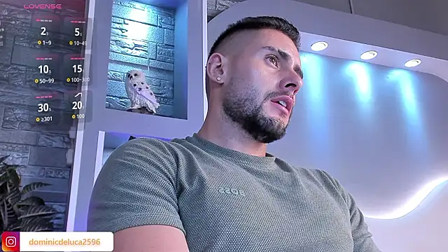 Snapshot of dominic_de_luca chatting on February 10, 2026, 4:11 am dominic de luca online show from February 10, 2026, 4:11 am