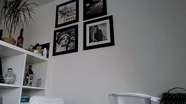 Snapshot of bigcockjohnxxxxx chatting on November 12, 2025, 12:42 pm bigcockjohnxxxxx online show from November 12, 2025, 12:42 pm