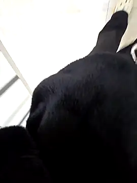 Snapshot of aloan_Tk chatting on April 8, 2026, 12:34 am aloan Tk online show from April 8, 2026, 12:34 am