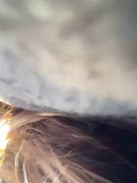   BabyShowPublic   online show from March 28, 2026, 9:21 am