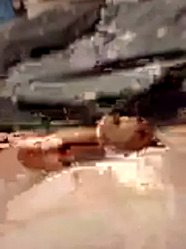 Anonimek942 online show from November 29, 2025, 11:49 pm