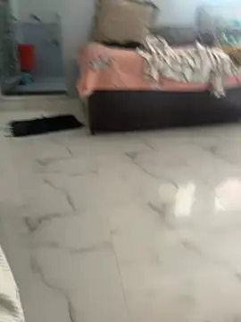 NoddingScorpion online show from February 2, 2026, 8:35 am