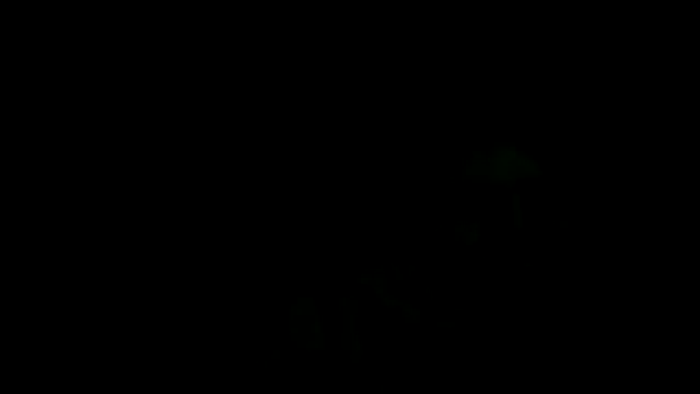 XanderOzzz online show from April 15, 2026, 7:03 am