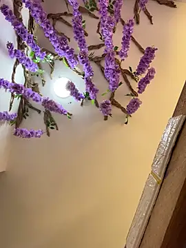 Snapshot of burbuja02 chatting on April 4, 2026, 2:34 pm burbuja02 online show from April 4, 2026, 2:34 pm