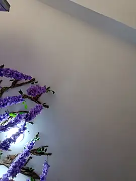 Snapshot of burbuja02 chatting on April 5, 2026, 2:35 pm burbuja02 online show from April 5, 2026, 2:35 pm