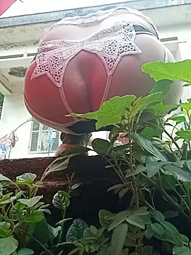 July-Asian online show from May 24, 2026, 12:54 am
