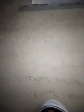 Snapshot of Desiandaj chatting on November 24, 2025, 5:13 pm Desiandaj online show from November 24, 2025, 5:13 pm