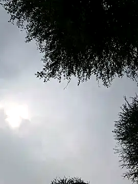 Snapshot of Desiandaj chatting on November 28, 2025, 4:01 am Desiandaj online show from November 28, 2025, 4:01 am