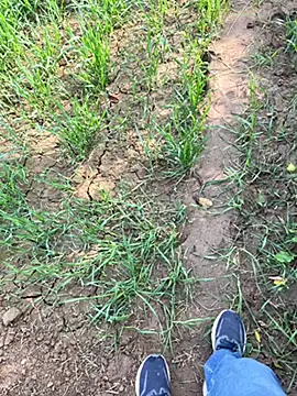 Snapshot of Desiandaj chatting on November 29, 2025, 5:29 am Desiandaj online show from November 29, 2025, 5:29 am