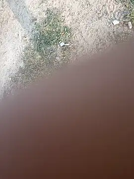 Snapshot of Desiandaj chatting on November 26, 2025, 2:44 am Desiandaj online show from November 26, 2025, 2:44 am