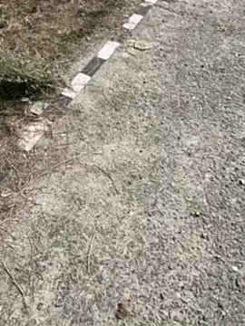 Snapshot of Desiandaj chatting on November 30, 2025, 7:53 am Desiandaj online show from November 30, 2025, 7:53 am