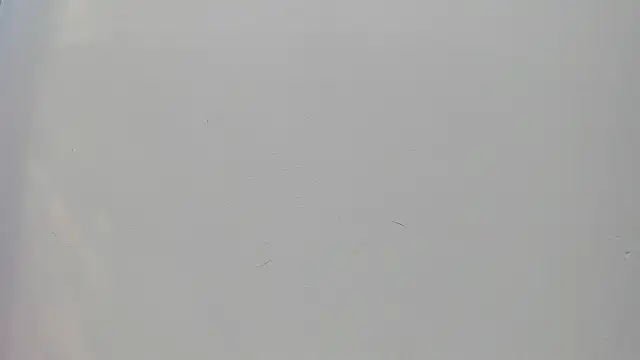 Saammy 17 online show from September 25, 2025, 8:26 pm