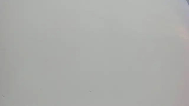 Saammy 17 online show from October 1, 2025, 8:02 pm