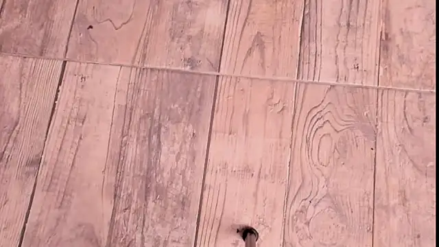 ZYZZ1312 online show from December 19, 2025, 9:06 pm