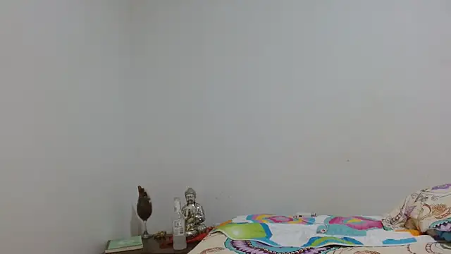 Snapshot of naiaratobon__ chatting on February 18, 2026, 3:48 am naiaratobon online show from February 18, 2026, 3:48 am