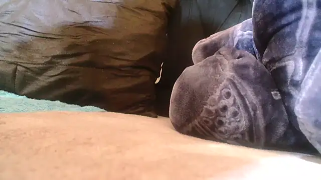 Sexy PureFire online show from December 18, 2025, 7:07 pm