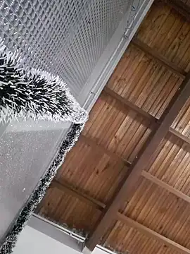 Lizbeth Rouse online show from December 18, 2025, 11:03 am