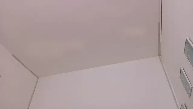 Lizbeth Rouse online show from October 16, 2025, 2:03 pm