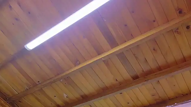 Lizbeth Rouse online show from January 13, 2026, 10:41 am