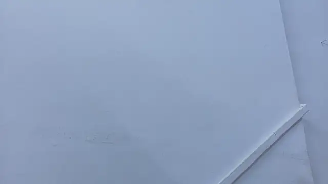 Lizbeth Rouse online show from November 2, 2025, 11:37 am