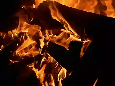 parca13 online show from November 12, 2025, 5:00 am