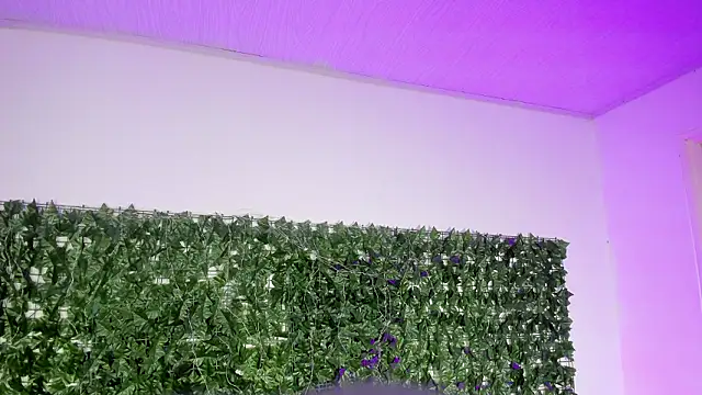 Snapshot of BellaRoux1 chatting on February 27, 2026, 12:16 pm BellaRoux1 online show from February 27, 2026, 12:16 pm