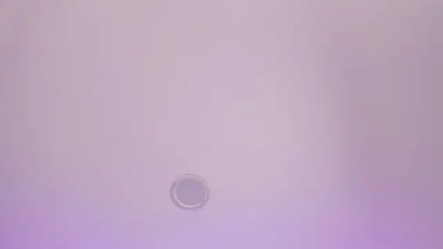 BabyMiaa   online show from November 19, 2025, 3:23 pm