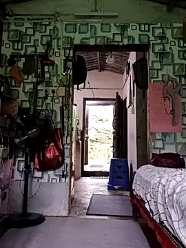 WholeAltimeter25 online show from November 23, 2025, 4:22 am